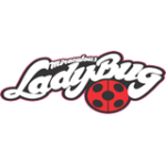 Miraculous Lady Bug